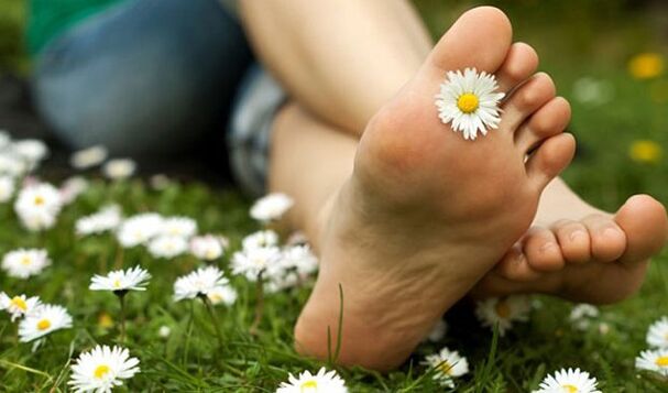 Legs without varicose veins after prophylaxis with folk remedies